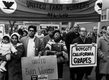united farm workers strike